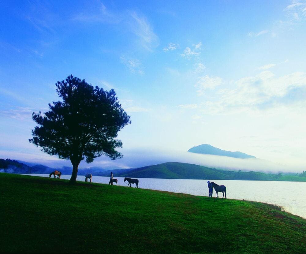 Da Lat&rsquo;s blend of nature, architecture, and art makes it a favorite destination for couples, creatives, and anyone seeking tranquility in a storybook setting